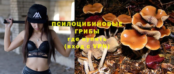 PSILOCYBIN Верхнеуральск